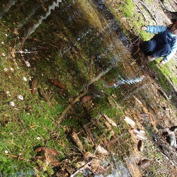 Hrbov serum fun 14. - 17.4.