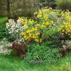 Kurz: Psychohygiena II. - Řídit a být řízen