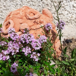 Víkend otevřených zahrad