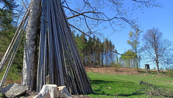 2025 denprotiulozisti 01