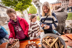 2025 hudebni hriste 05