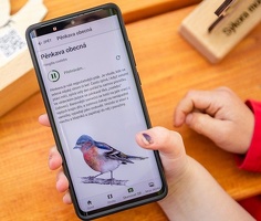 FIT stezka inspiro 17