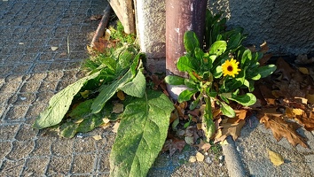 2025 altan stavba 089