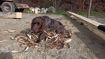 2025 altan stavba 097